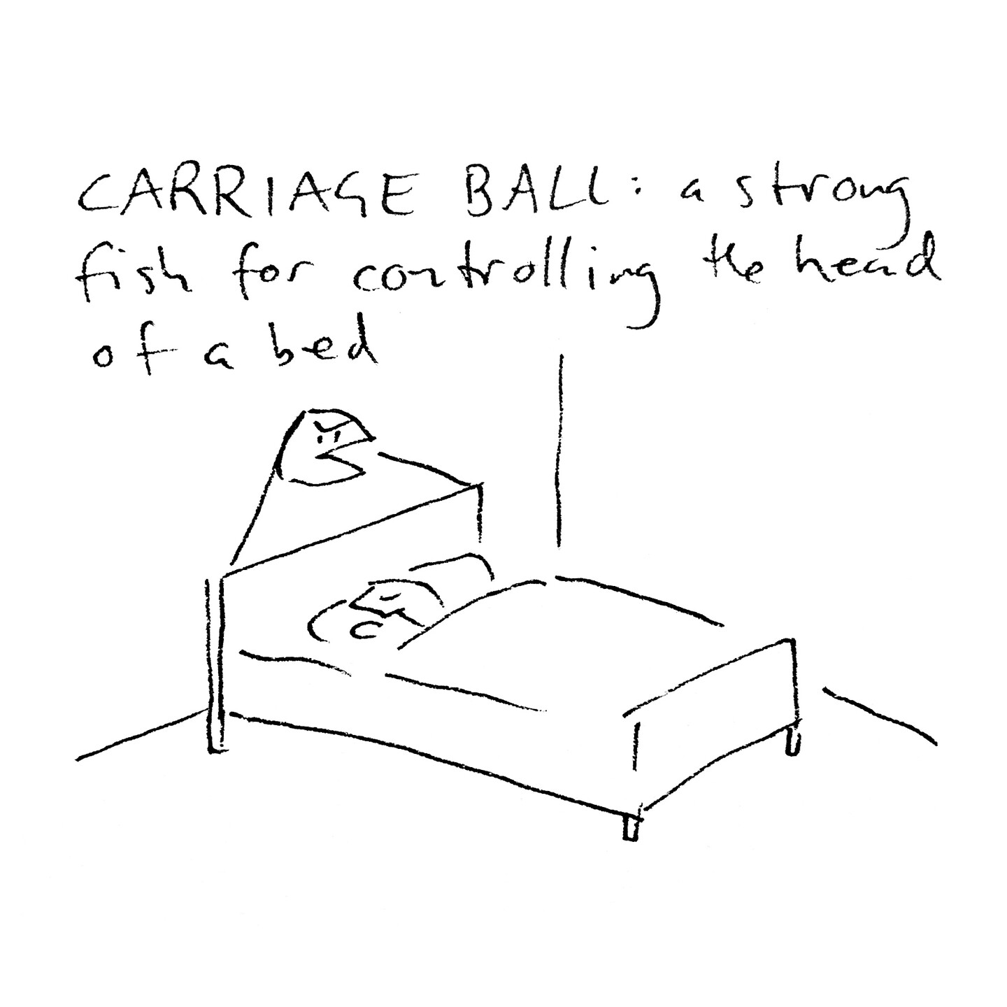 CARRIAGE BALL: a strong fish for controlling the head of a bed. The drawing depicts a man asleep in a bed. A fish’s head protrudes from the wall above the bed, with two lines proceeding to the corners of the head.