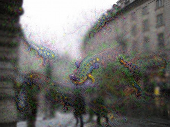 Regent St salamanders