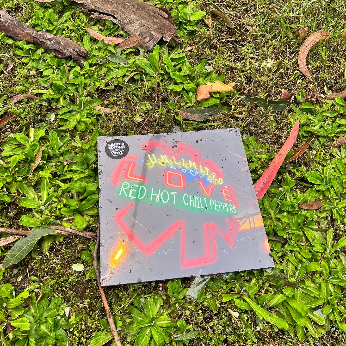 Photo of a vinyl album with the Red Hot Chili Peppers' name and logo, and the album title UNLIMITED LOVE in lurid neon, lying on damp green grass