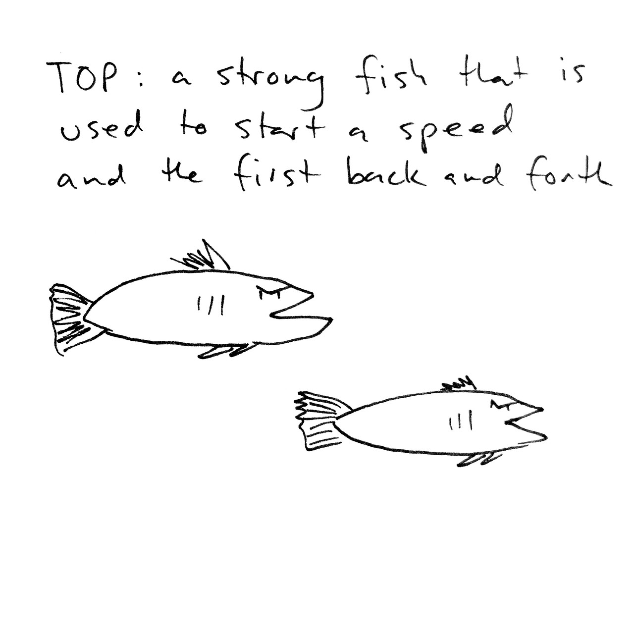 TOP: a strong fish that is used to start a speed and the first back and forth. The drawing depicts two fish swimming from left to right, one in the top left and the other in the bottom right of the frame.